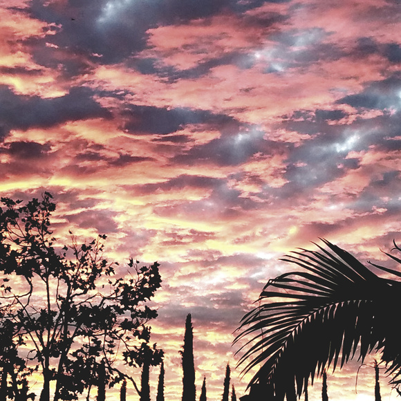 Meet your Posher, Suzan - Picture 2 of 2